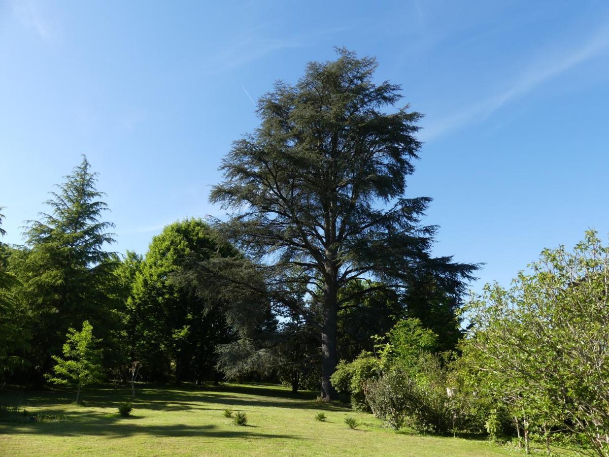 Le Petit Chateau - Adults Only Property Le Bugue Bagian luar foto